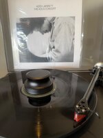 IMG_8285.jpeg